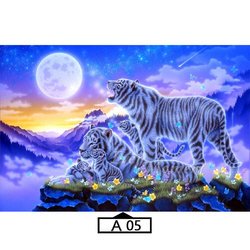 A05