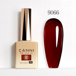 9066