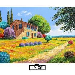 A06