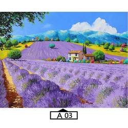 A03