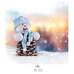 A03