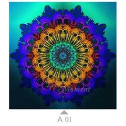 A01