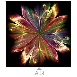 A14