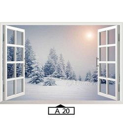 A20