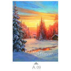 A09