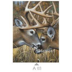 A03