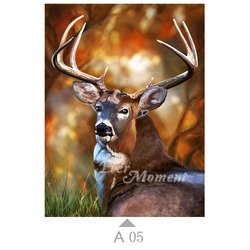 A05