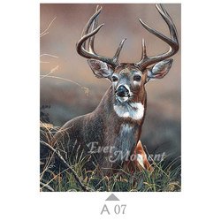 A07