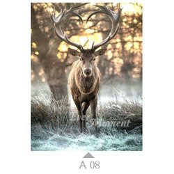 A08