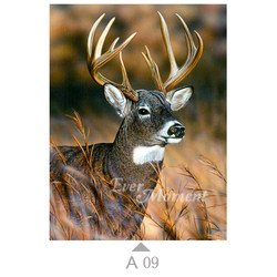 A09