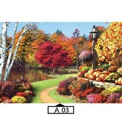 A03