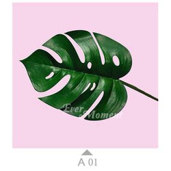 A01