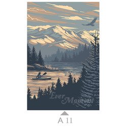 A11