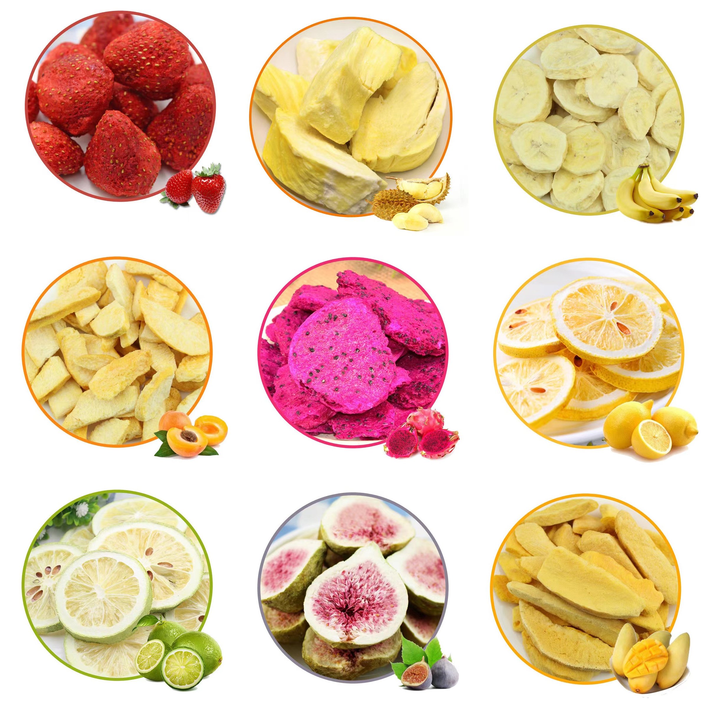 Freeze Dried Fruits and vegetables powder apple banana Blueberry juice instant fruit diced powder