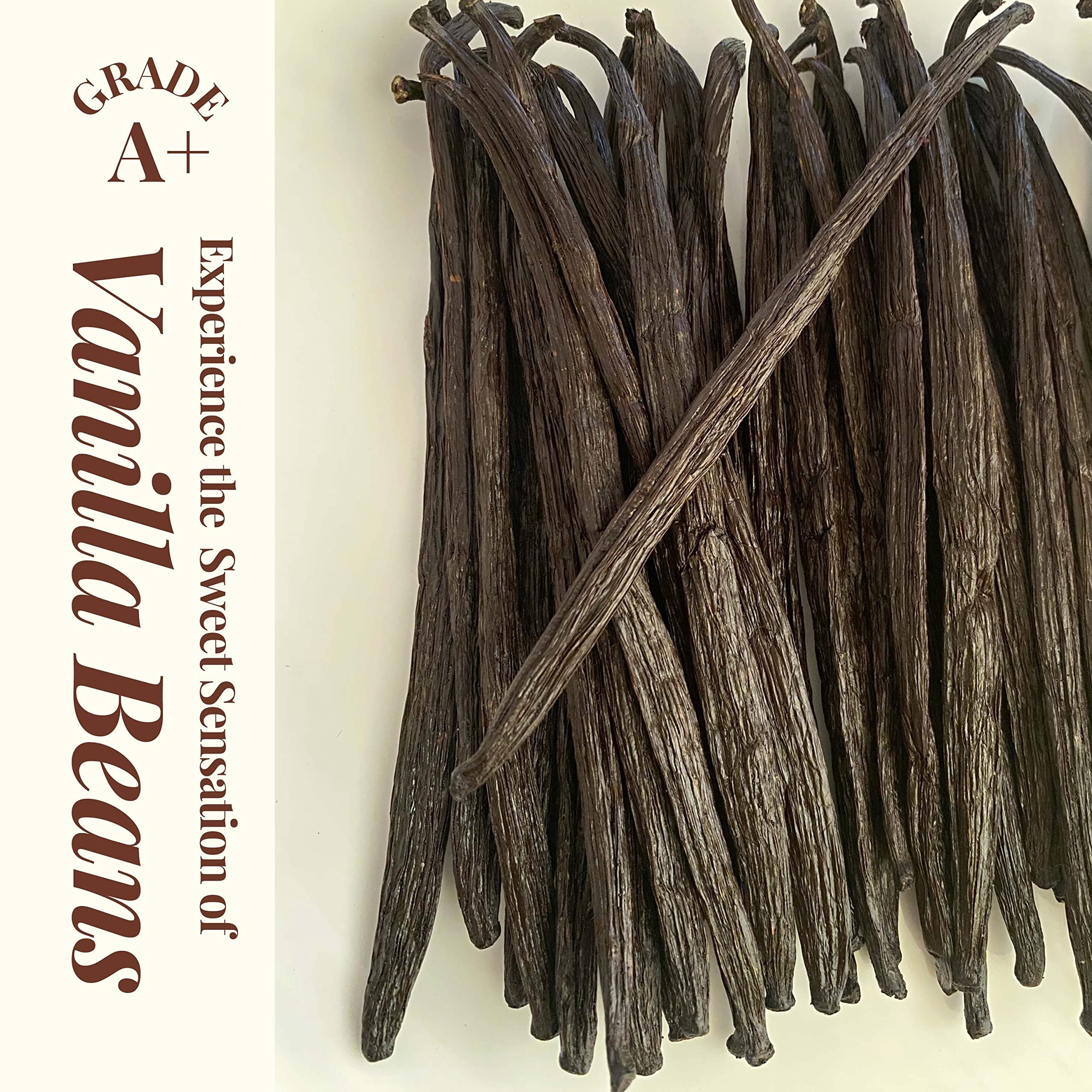 High quality vanilla beans , Gourmet vanilla beans , Cured vanilla beans kg With Best Price
