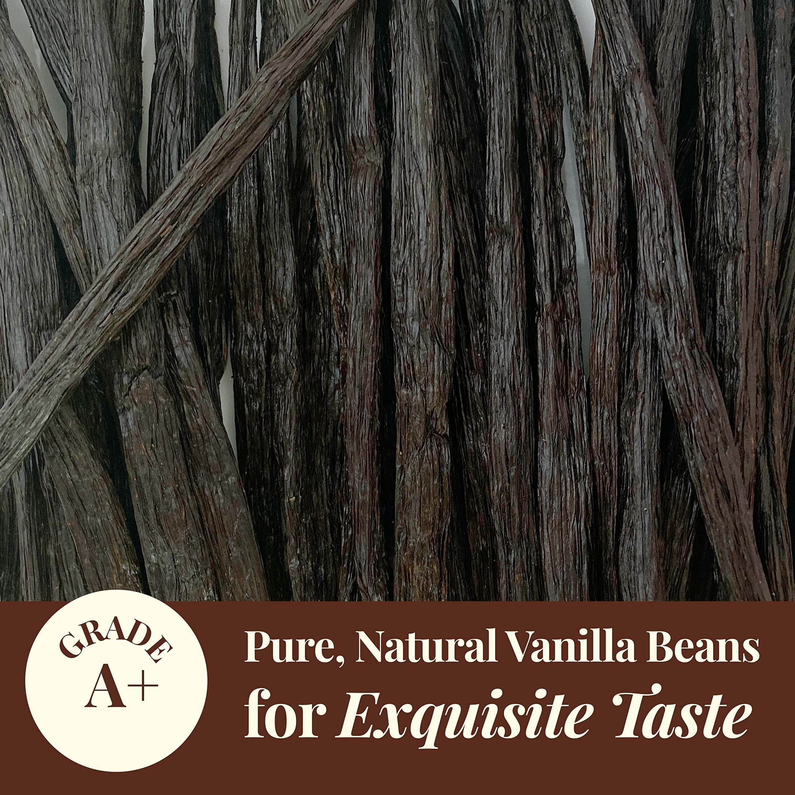 High quality vanilla beans , Gourmet vanilla beans , Cured vanilla beans kg With Best Price