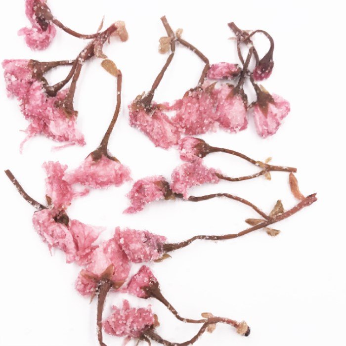 ying hua salted japanese cherry flower salt-pickled cherry blossoms for bakery decoration