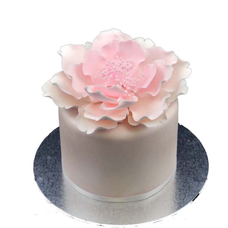 Bakery Decoration Ingredients Product Edible Sugar Paste Fondant