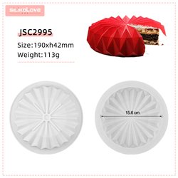 JSC2995