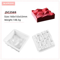 JSC2569