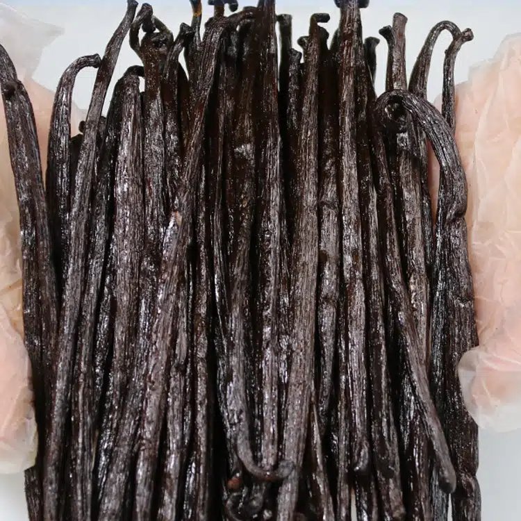 GEKO Food Dropshipping Products Promo Items Vanilla Beans for Baking