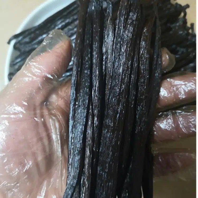 GEKO Food Dropshipping Products Promo Items Vanilla Beans for Baking