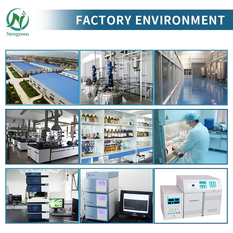 Newgreen Factory Top Grade Fish Oil Liquid For Dog /Fish Oil in bulk