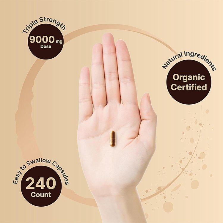 Non-GMO No Gluten 240 Capsules Ceylon Cinnamon Made with Organic Sri Lanka Ceylon Cinnamon and Organic Bitter Melon