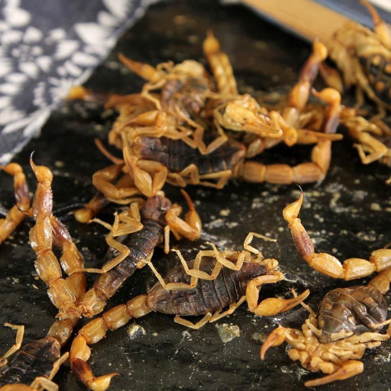 MOQ 1kg Bulk Natural Chinese Traditional Black Quan Xie Dried Scorpion For Herb Spice