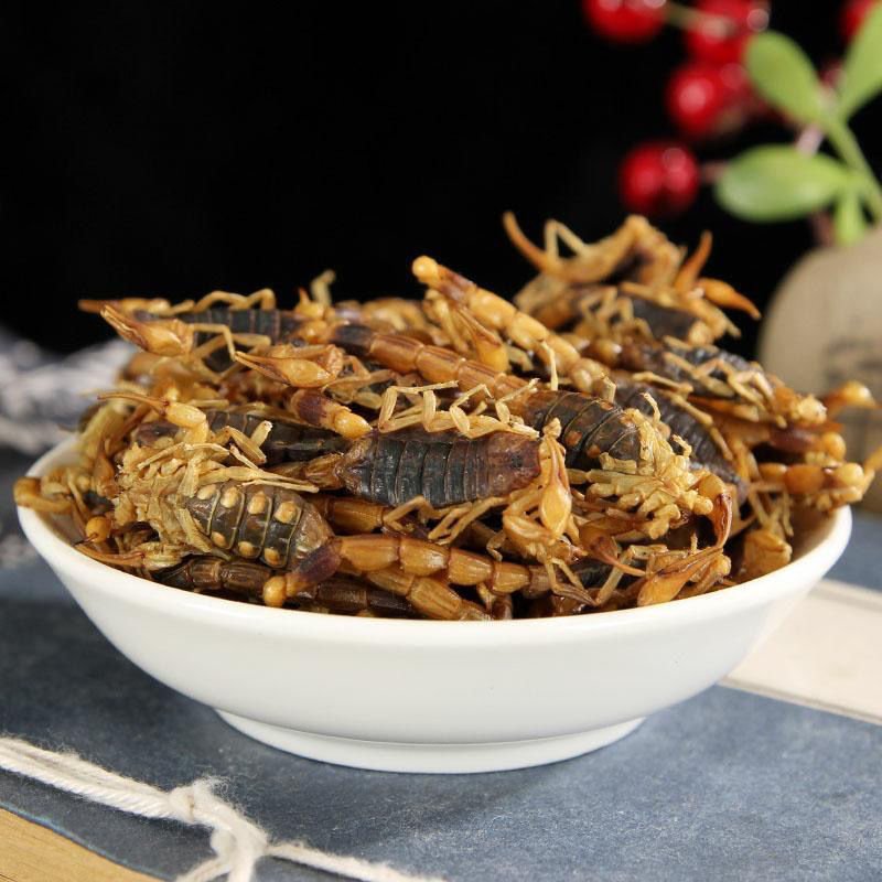 MOQ 1kg Bulk Natural Chinese Traditional Black Quan Xie Dried Scorpion For Herb Spice