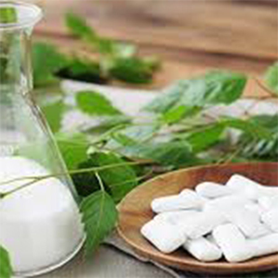 private label service xylitol sugar free chewing gum hot selling fruit chewing gum wholesale big size chewing gum