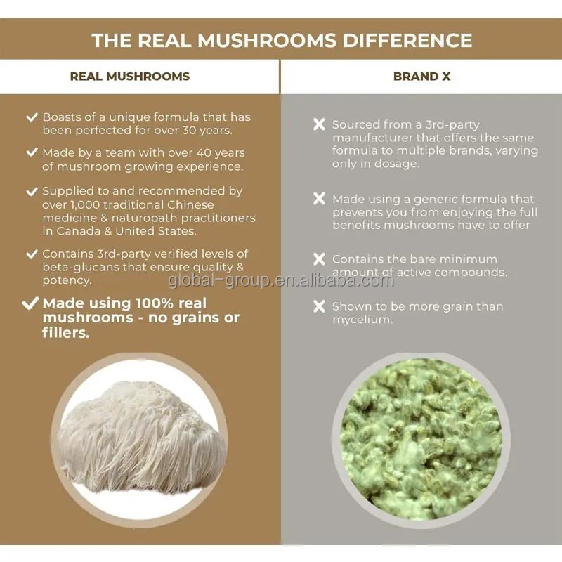 Private label lions mane powder mushroom extract powder dietary supplement lions mane capsules