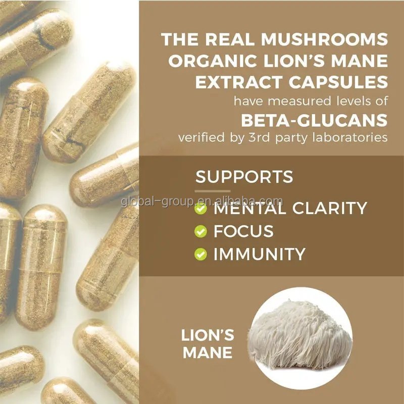 Private label lions mane powder mushroom extract powder dietary supplement lions mane capsules