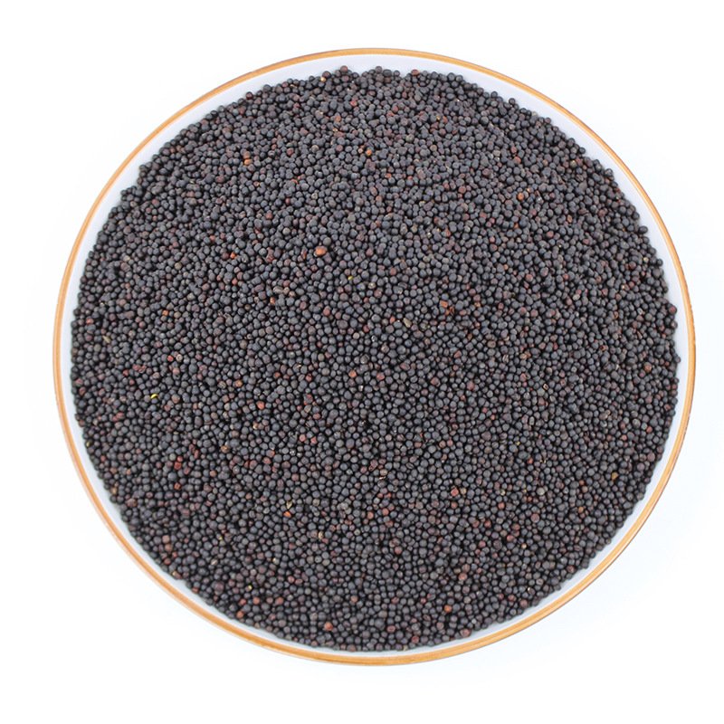 Chinese Single Spices Seasonings Charm Oil Spice Organic Black Mustard Seeds