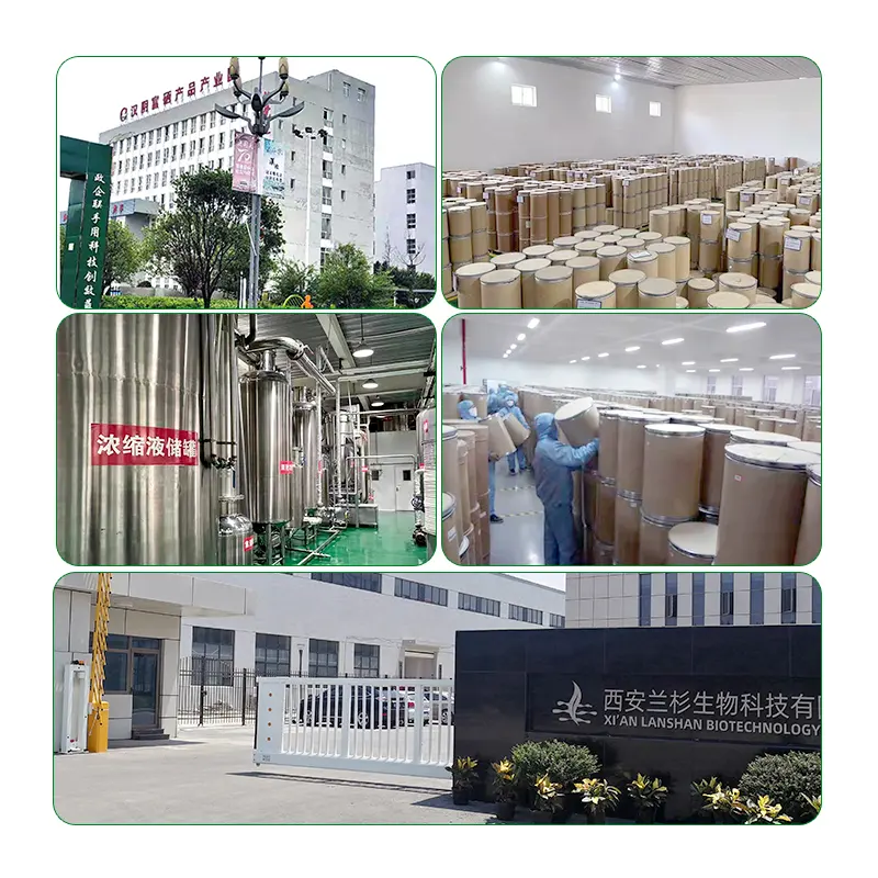 Best quality Nicotinamide riboside 98% NR Nicotinamide riboside powder