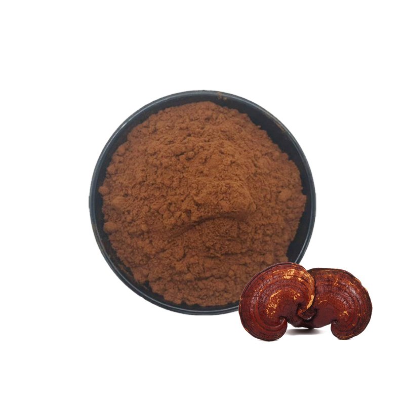 Reishi Extract Ganoderma Lucidum Extract Reishi Mushroom Powder