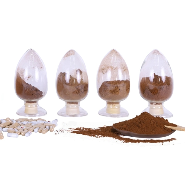 Reishi Extract Ganoderma Lucidum Extract Reishi Mushroom Powder