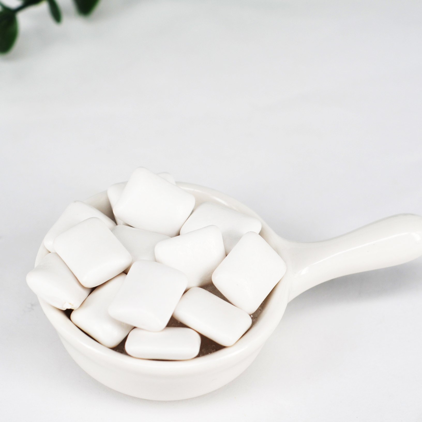 Sweetened 100% Xylitol Sugar Free Peppermint Vegan Chewing Gum Natural Pillow Oem Novel Design Factory Price Chewing Gum Bottle