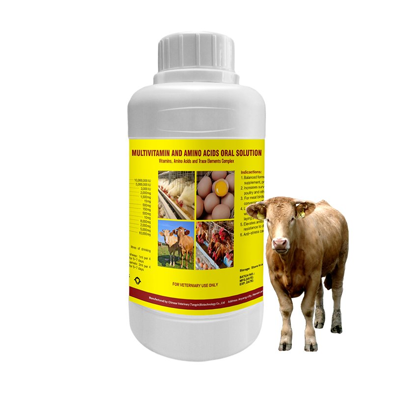 Gain weight Gain Syrup Water Soluble Multi Vitamins Premix for Dairy Cattle Multi vitamins