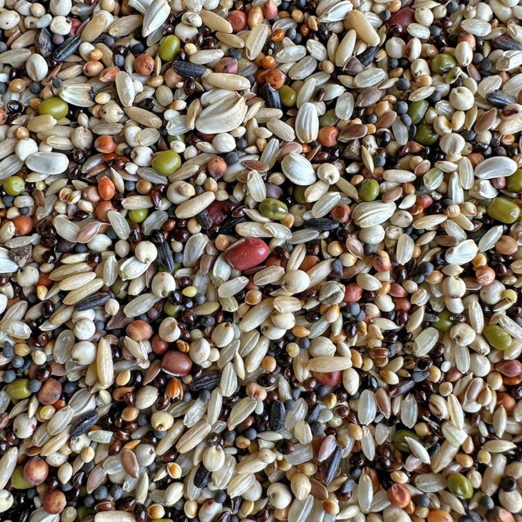 Wholesale Pet Food Mixed Bird Fodders For Fish And Birds