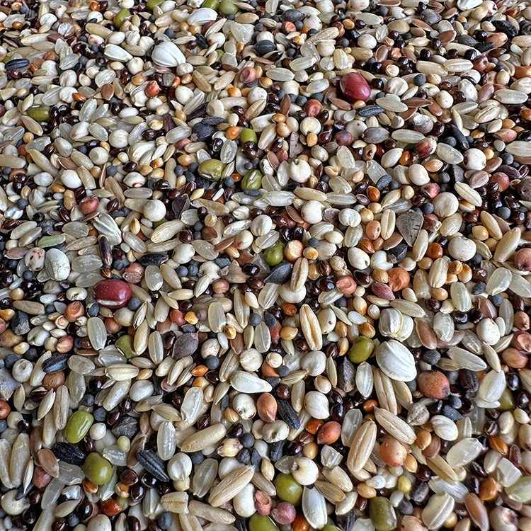 Wholesale Pet Food Mixed Bird Fodders For Fish And Birds