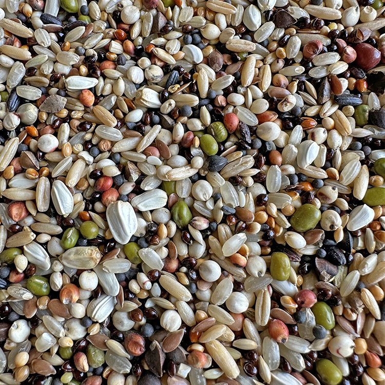 Wholesale Pet Food Mixed Bird Fodders For Fish And Birds