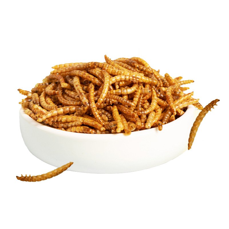 100% Natura High Protein Animal Feed Fish Food Dried Mealworm Bird Food