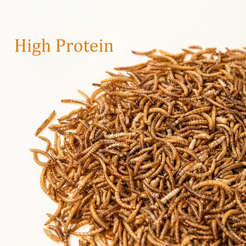 100% Natura High Protein Animal Feed Fish Food Dried Mealworm Bird Food