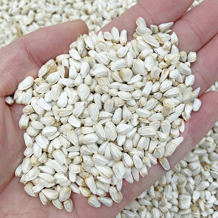 China Pet Food Supplier Bird Fodder Pigeon Food