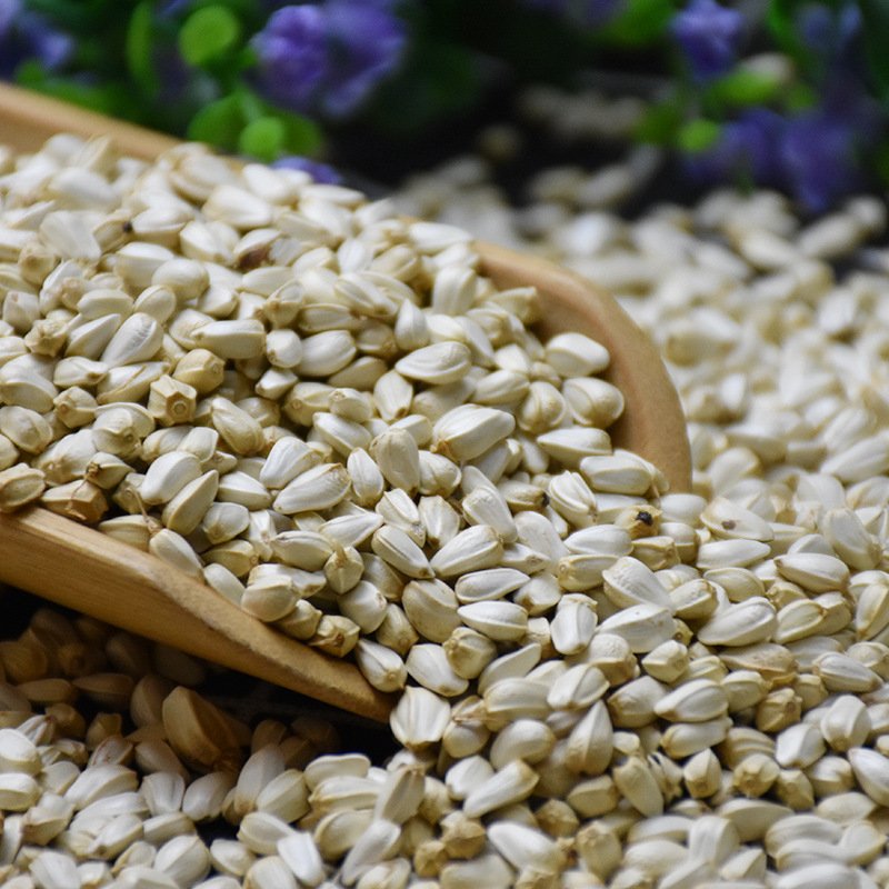China Pet Food Supplier Bird Fodder Pigeon Food