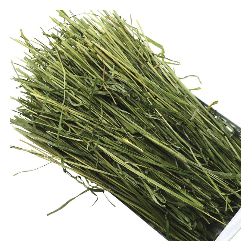 Wholesale Rabbit Food china Pet Foods Timothy Rabbit Hay