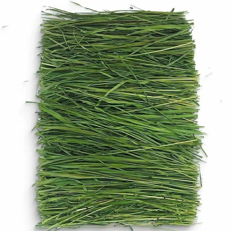 Wholesale Rabbit Food china Pet Foods Timothy Rabbit Hay