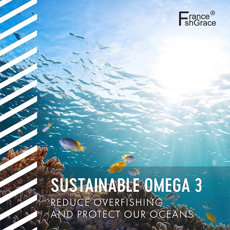 Premium Omega 3 Fish Oil DHA Supplement Replacement Carbon Neutral Carrageenan Free 60 soft gels