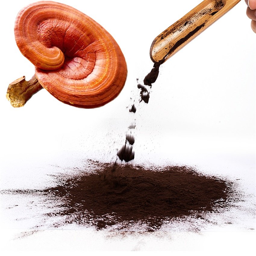 Reishi Powder Factory Supply Organic Reishi Extract Lingzhi Broken Spore Powder
